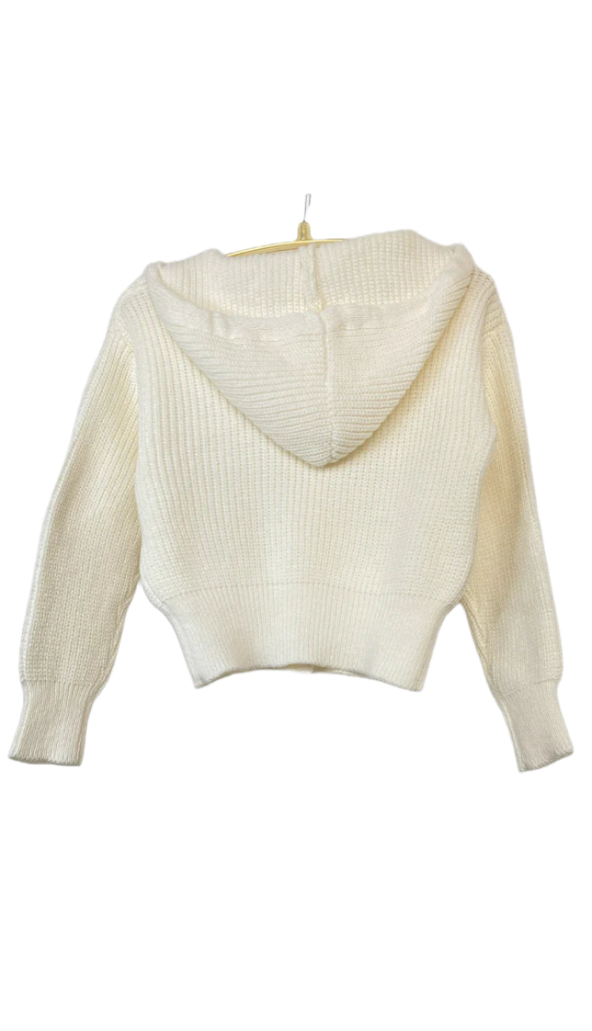 Hoodie Sweater